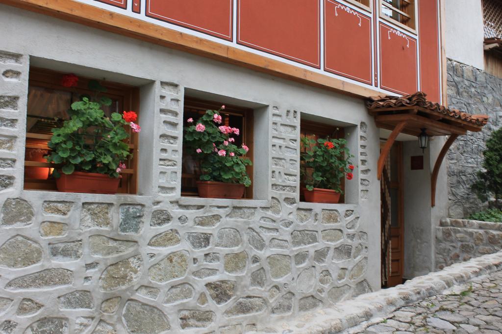 Guest House Maria Kopriwschtiza Exterior foto